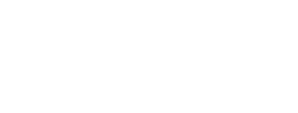 Teisoft Logo